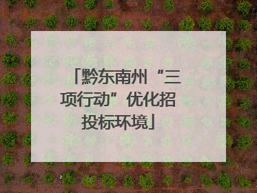 黔东南州“三项行动”优化招投标环境