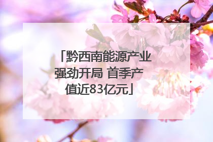 黔西南能源产业强劲开局 首季产值近83亿元