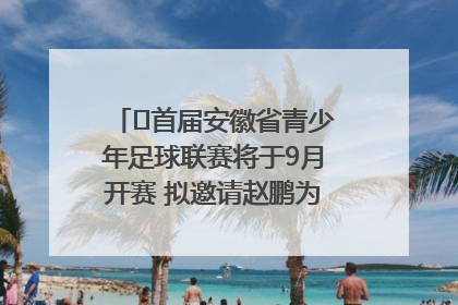 ﻿首届安徽省青少年足球联赛将于9月开赛 拟邀请赵鹏为先导赛开球