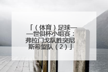 （体育）足球——世俱杯小组赛：弗拉门戈队胜突尼斯希望队（2）