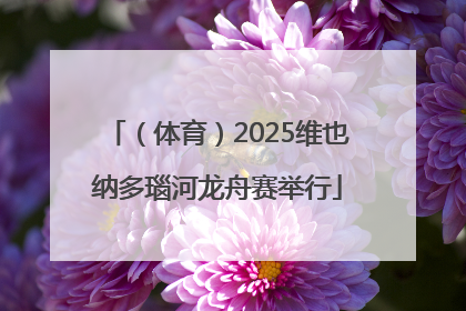 （体育）2025维也纳多瑙河龙舟赛举行