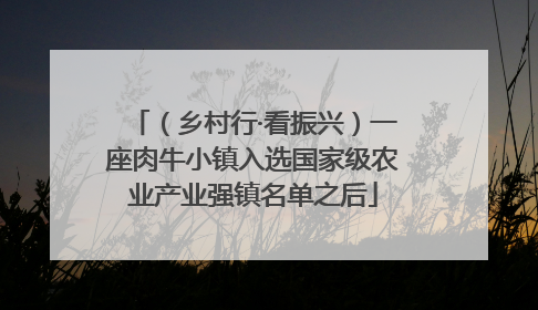 （乡村行·看振兴）一座肉牛小镇入选国家级农业产业强镇名单之后