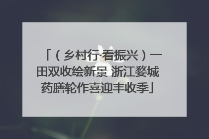 （乡村行·看振兴）一田双收绘新景 浙江婺城药膳轮作喜迎丰收季
