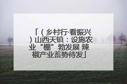 （乡村行·看振兴）山西天镇：设施农业“棚”勃发展 辣椒产业蓄势待发