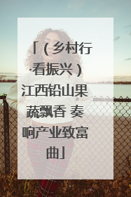 （乡村行·看振兴）江西铅山果蔬飘香 奏响产业致富曲