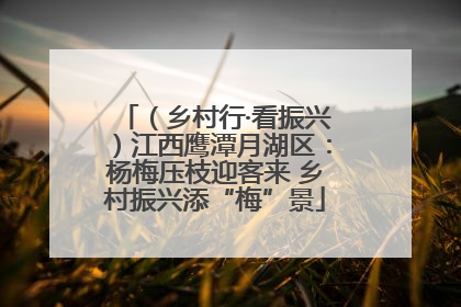 （乡村行·看振兴）江西鹰潭月湖区：杨梅压枝迎客来 乡村振兴添“梅”景