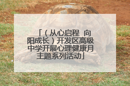（从心启程  向阳成长）开发区高级中学开展心理健康月主题系列活动