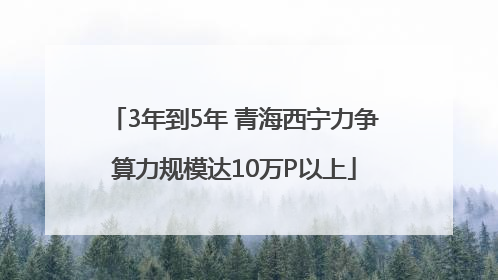 3年到5年 青海西宁力争算力规模达10万P以上