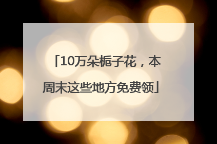 10万朵栀子花，本周末这些地方免费领