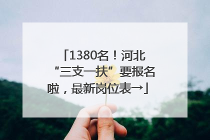 1380名！河北“三支一扶”要报名啦，最新岗位表→