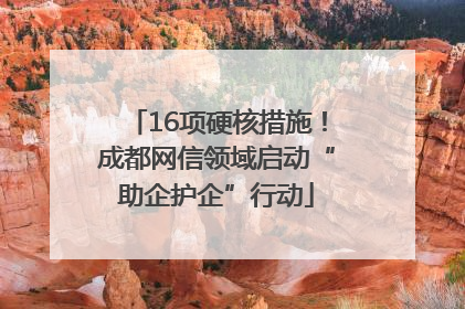16项硬核措施！成都网信领域启动“助企护企”行动