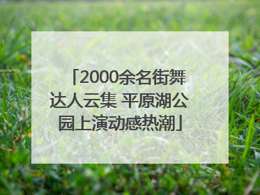 2000余名街舞达人云集 平原湖公园上演动感热潮