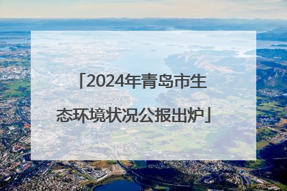 2024年青岛市生态环境状况公报出炉