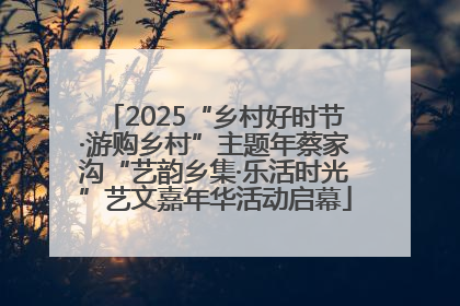 2025“乡村好时节·游购乡村”主题年蔡家沟“艺韵乡集·乐活时光”艺文嘉年华活动启幕