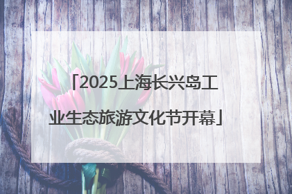 2025上海长兴岛工业生态旅游文化节开幕