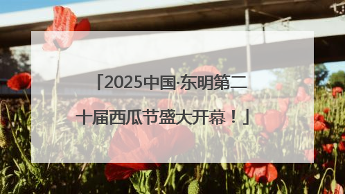 2025中国·东明第二十届西瓜节盛大开幕！