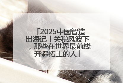 2025中国智造出海记丨关税风波下，那些在世界最前线开疆拓土的人