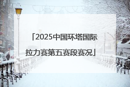 2025中国环塔国际拉力赛第五赛段赛况