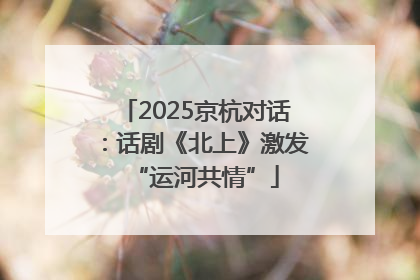 2025京杭对话：话剧《北上》激发“运河共情”