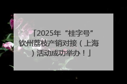 2025年“桂字号”钦州荔枝产销对接（上海）活动成功举办！