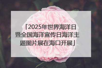 2025年世界海洋日暨全国海洋宣传日海洋主题图片展在海口开展