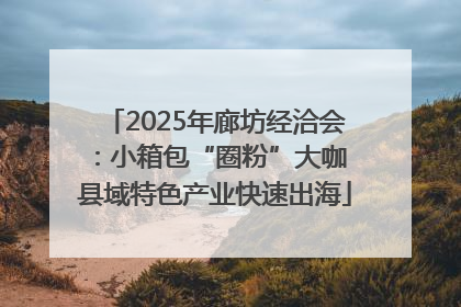 2025年廊坊经洽会：小箱包“圈粉”大咖 县域特色产业快速出海