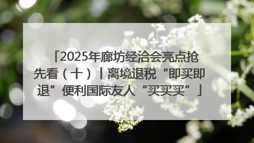 2025年廊坊经洽会亮点抢先看（十）丨离境退税“即买即退”便利国际友人“买买买”