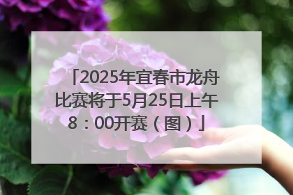 2025年宜春市龙舟比赛将于5月25日上午8：00开赛（图）