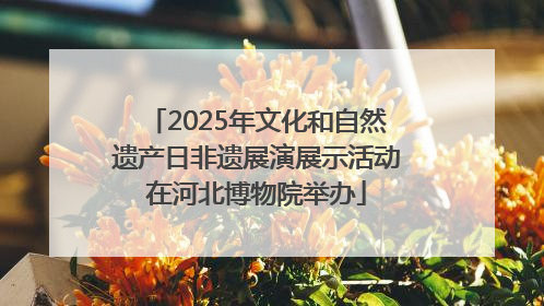 2025年文化和自然遗产日非遗展演展示活动在河北博物院举办