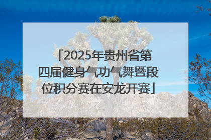 2025年贵州省第四届健身气功气舞暨段位积分赛在安龙开赛