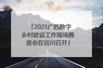 2025广西数字乡村建设工作现场推进会在富川召开