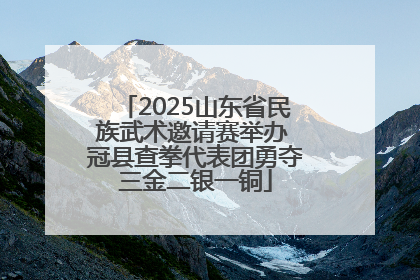2025山东省民族武术邀请赛举办 冠县查拳代表团勇夺三金二银一铜