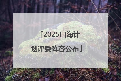 2025山海计划评委阵容公布