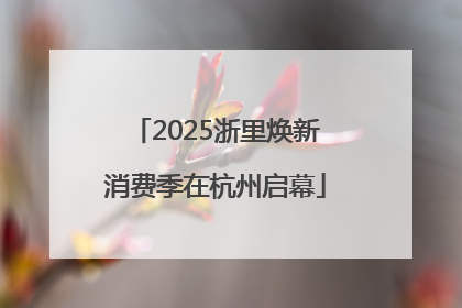 2025浙里焕新消费季在杭州启幕