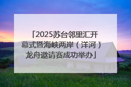 2025苏台邻里汇开幕式暨海峡两岸（洋河）龙舟邀请赛成功举办