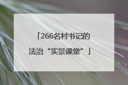 266名村书记的法治“实景课堂”