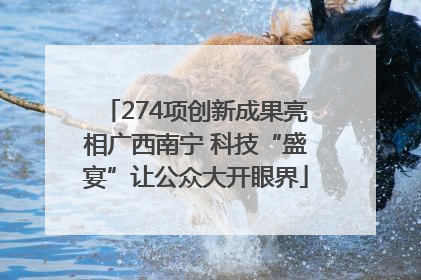 274项创新成果亮相广西南宁 科技“盛宴”让公众大开眼界