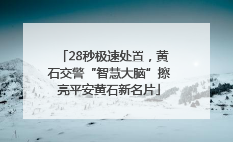28秒极速处置，黄石交警“智慧大脑”擦亮平安黄石新名片