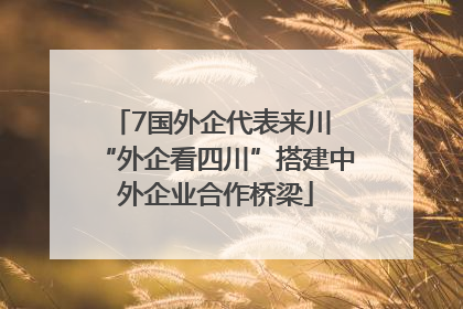 7国外企代表来川 “外企看四川”搭建中外企业合作桥梁