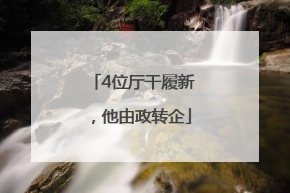4位厅干履新，他由政转企