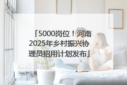 5000岗位！河南2025年乡村振兴协理员招用计划发布