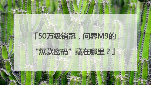 50万级销冠，问界M9的“爆款密码”藏在哪里？
