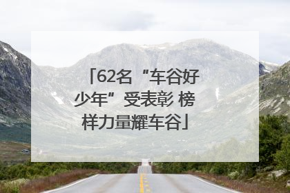 62名“车谷好少年”受表彰 榜样力量耀车谷