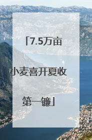 7.5万亩小麦喜开夏收第一镰