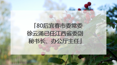 80后宜春市委常委徐云涌已任江西省委副秘书长、办公厅主任
