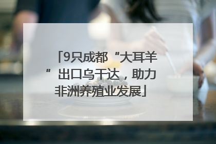 9只成都“大耳羊”出口乌干达，助力非洲养殖业发展