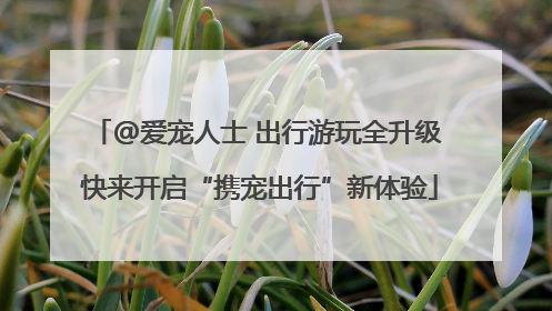 @爱宠人士 出行游玩全升级 快来开启“携宠出行”新体验