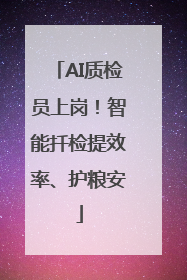 AI质检员上岗！智能扦检提效率、护粮安