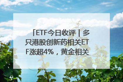 ETF今日收评｜多只港股创新药相关ETF涨超4%，黄金相关ETF跌逾1%