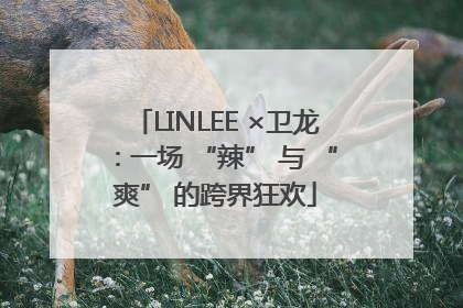 LINLEE ×卫龙：一场 “辣” 与 “爽” 的跨界狂欢
